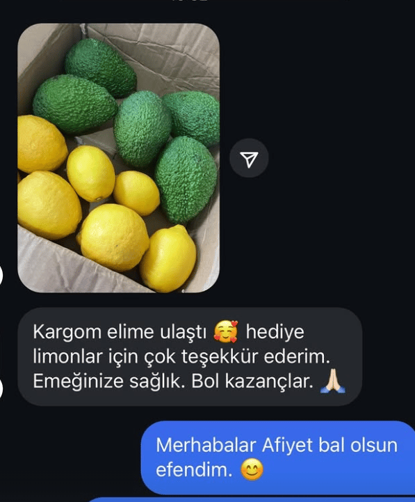 0e2e2e77-f05c-46a5-bec2-546b00ac1b29.Ekran görüntüsü 2025-08-12 163211